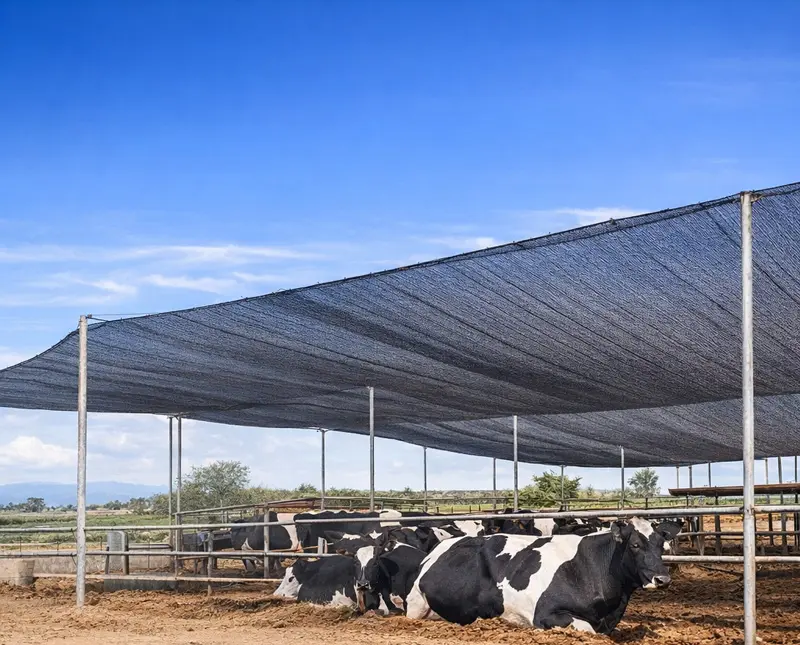 توری سایبان دامداری