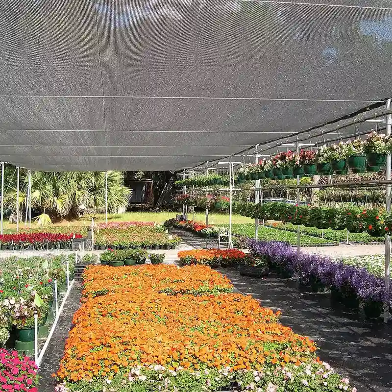 توری‌های ضد آفتاب سوختگی