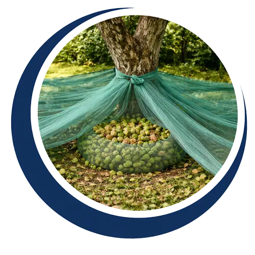 توری برداشت محصول