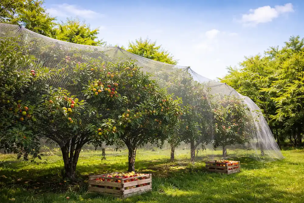 انتخاب توری ضد پرنده مناسب برای باغ و فضای باز