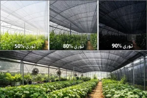 تفاوت توری سایبان 50%، 80% و 90% | بهترین انتخاب برای گلخانه