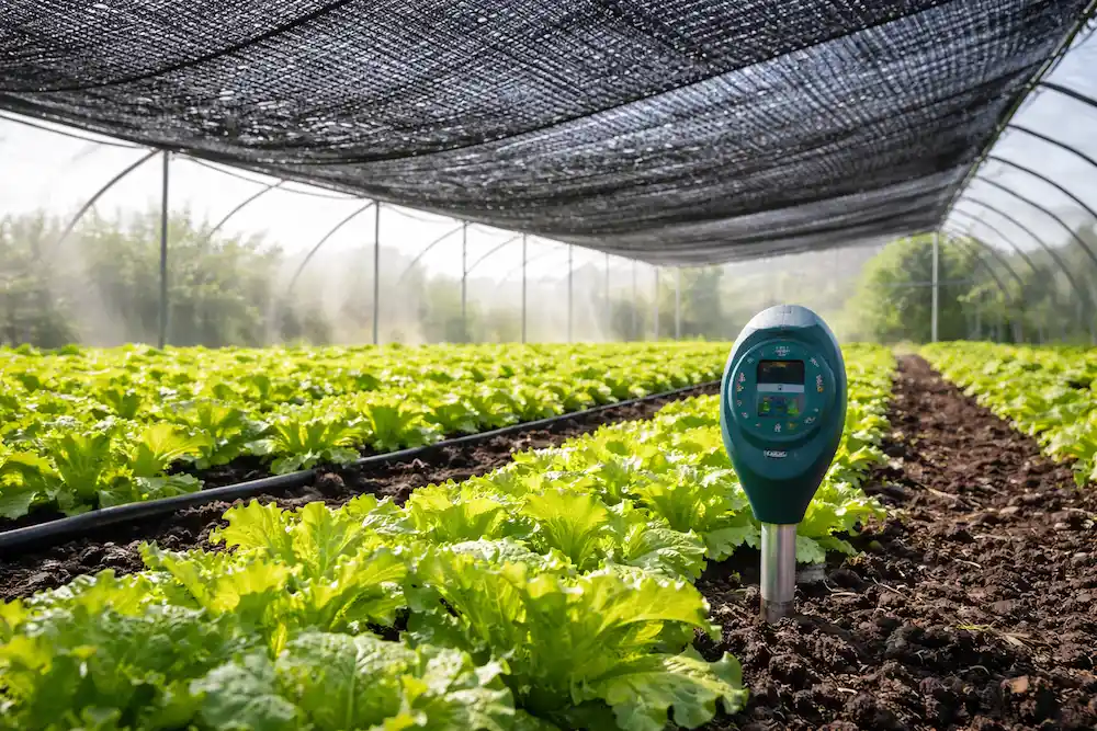 توری ضد تبخیر چیست؟ | چگونه مصرف آب در گلخانه را کاهش می‌دهد و راندمان را افزایش می‌کند؟